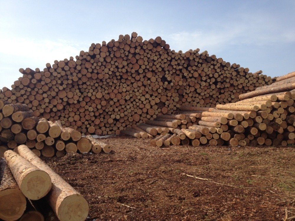 Использование древесины в строительстве