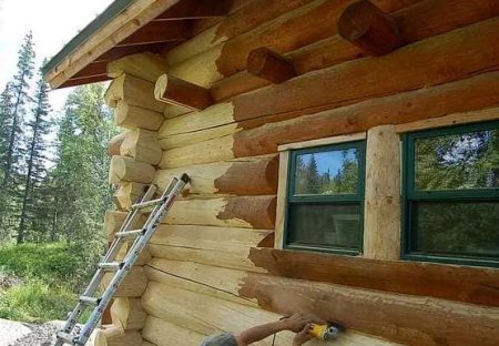 Как защитить строящийся деревянный дом от сырости?